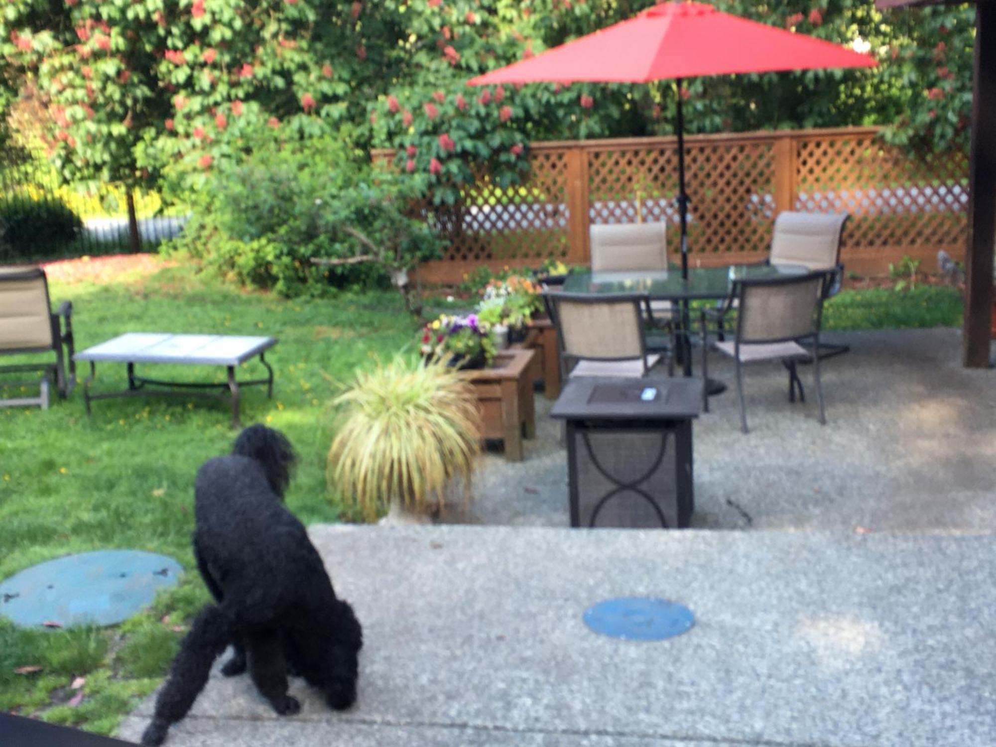 הוילה North Saanich Coles Bay Vacation Retreat מראה חיצוני תמונה
