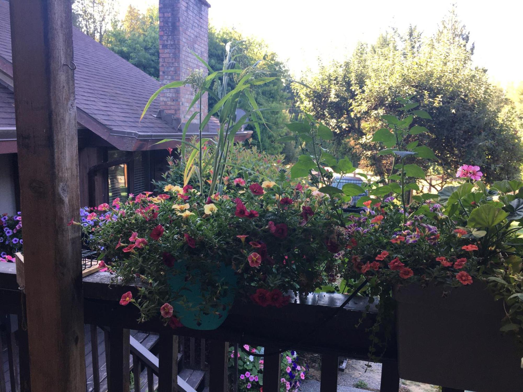 הוילה North Saanich Coles Bay Vacation Retreat מראה חיצוני תמונה
