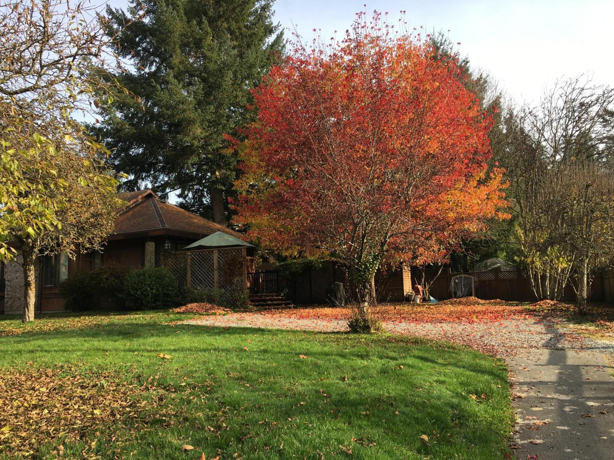 הוילה North Saanich Coles Bay Vacation Retreat מראה חיצוני תמונה