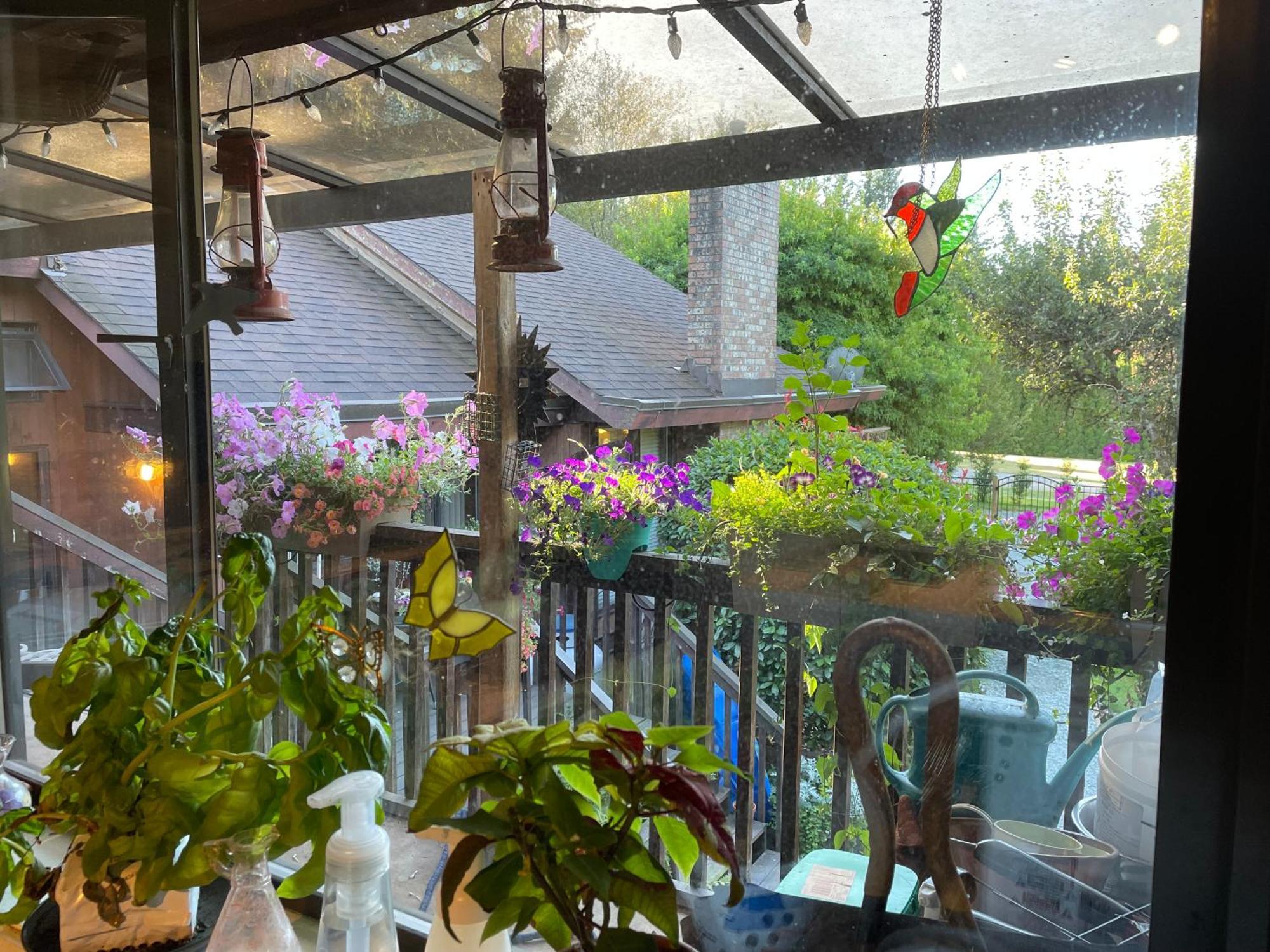 הוילה North Saanich Coles Bay Vacation Retreat מראה חיצוני תמונה