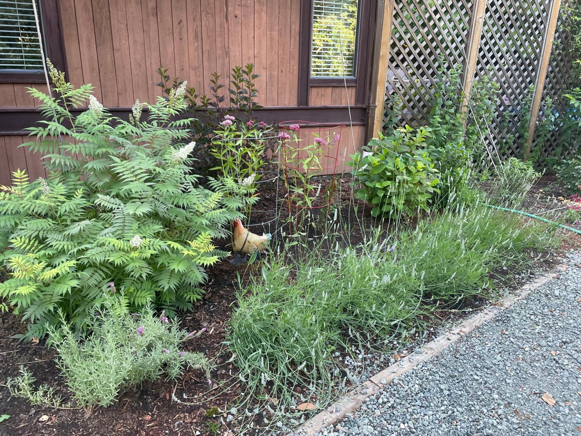 הוילה North Saanich Coles Bay Vacation Retreat מראה חיצוני תמונה