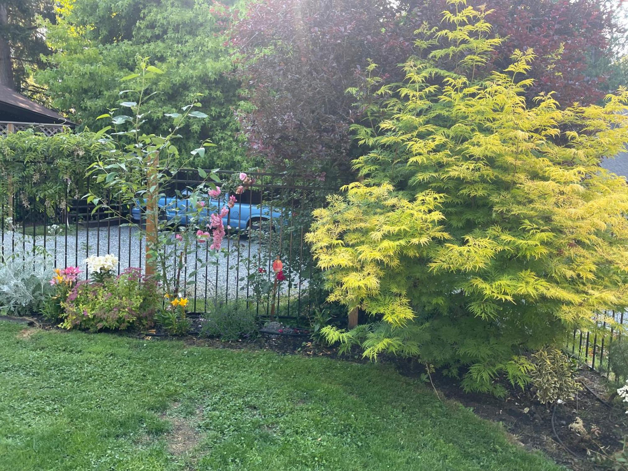 הוילה North Saanich Coles Bay Vacation Retreat מראה חיצוני תמונה