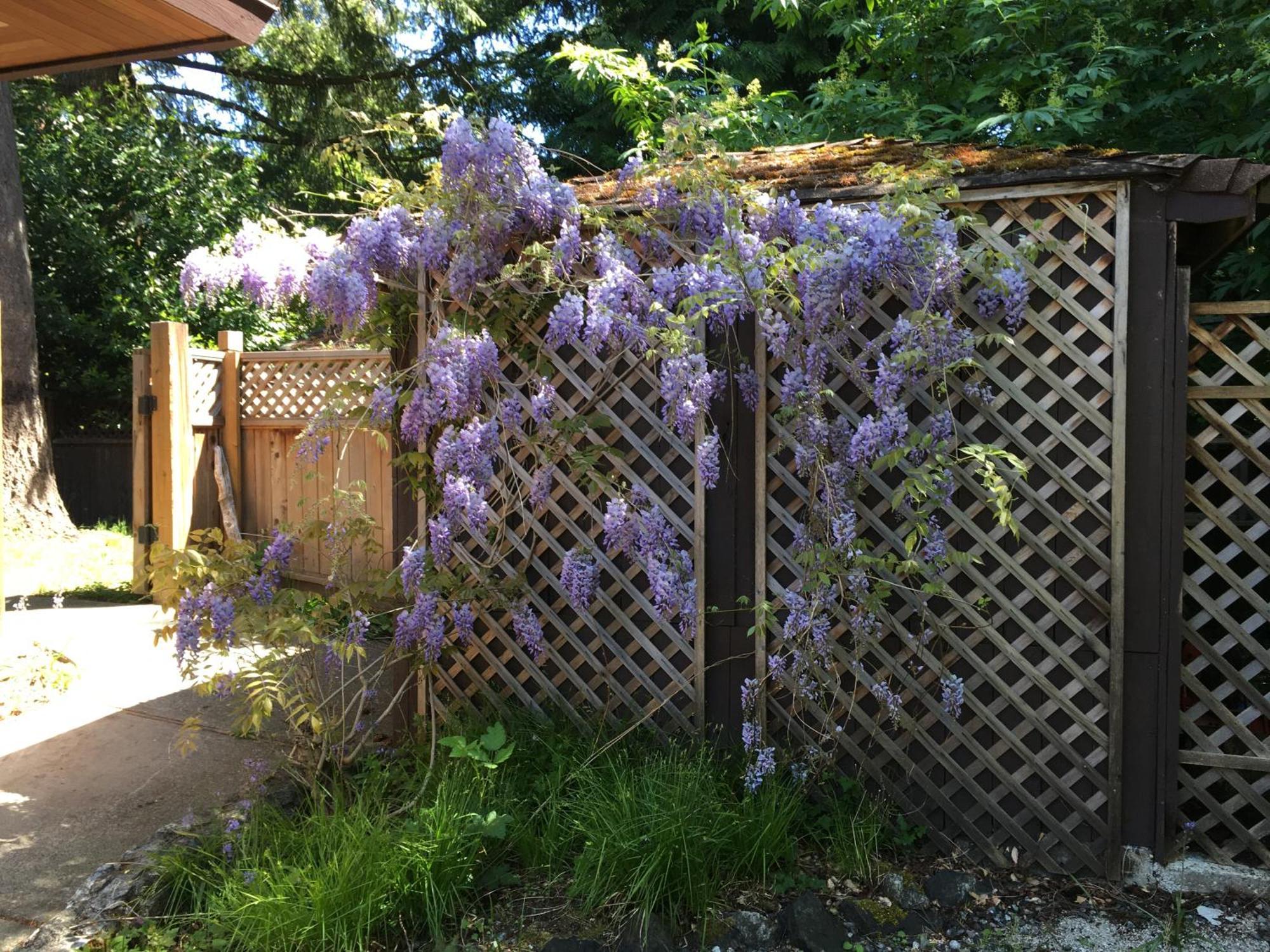 הוילה North Saanich Coles Bay Vacation Retreat מראה חיצוני תמונה