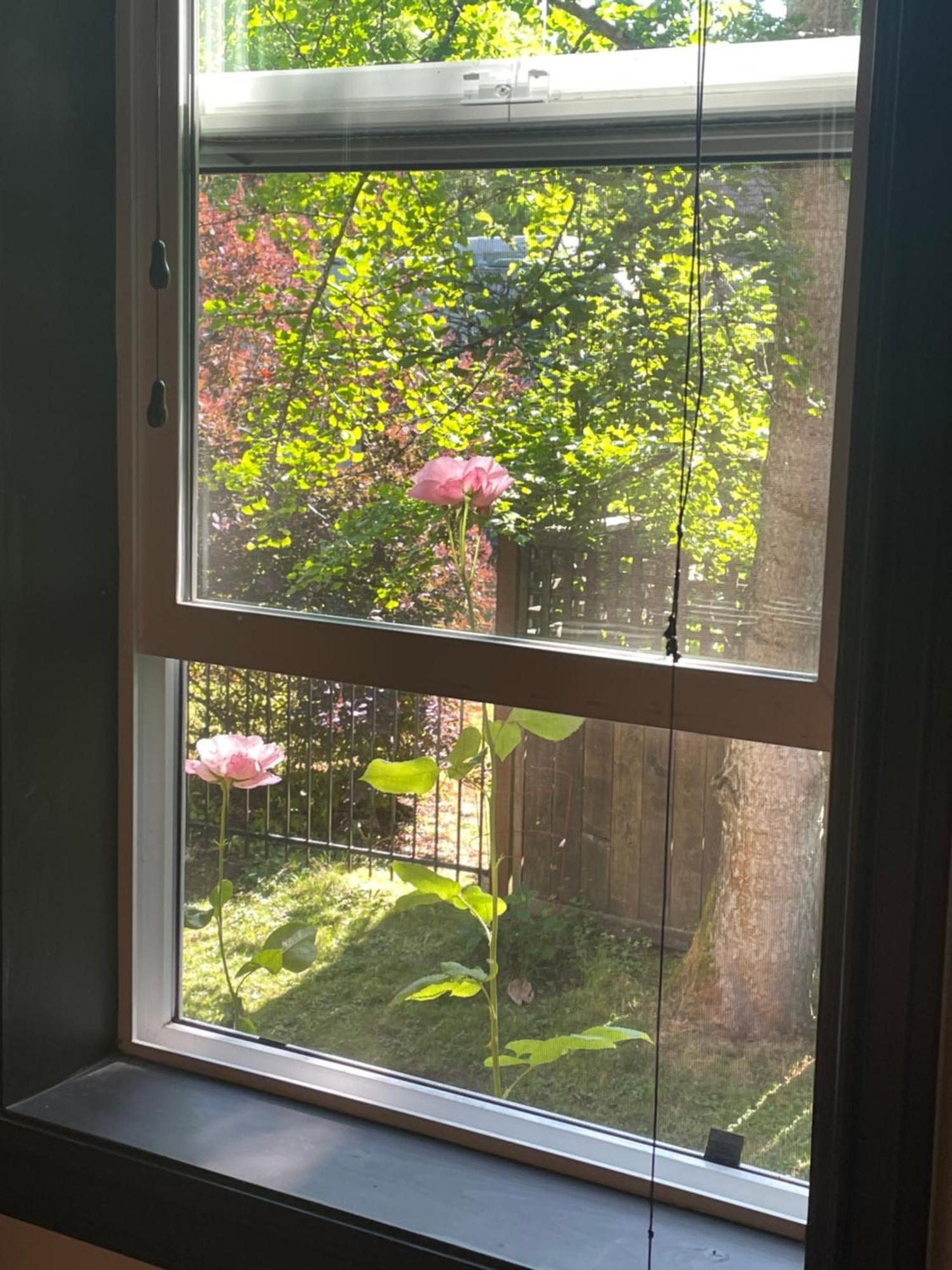 הוילה North Saanich Coles Bay Vacation Retreat מראה חיצוני תמונה