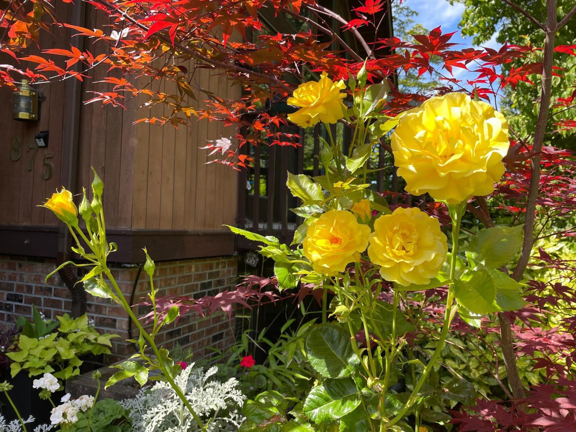 הוילה North Saanich Coles Bay Vacation Retreat מראה חיצוני תמונה