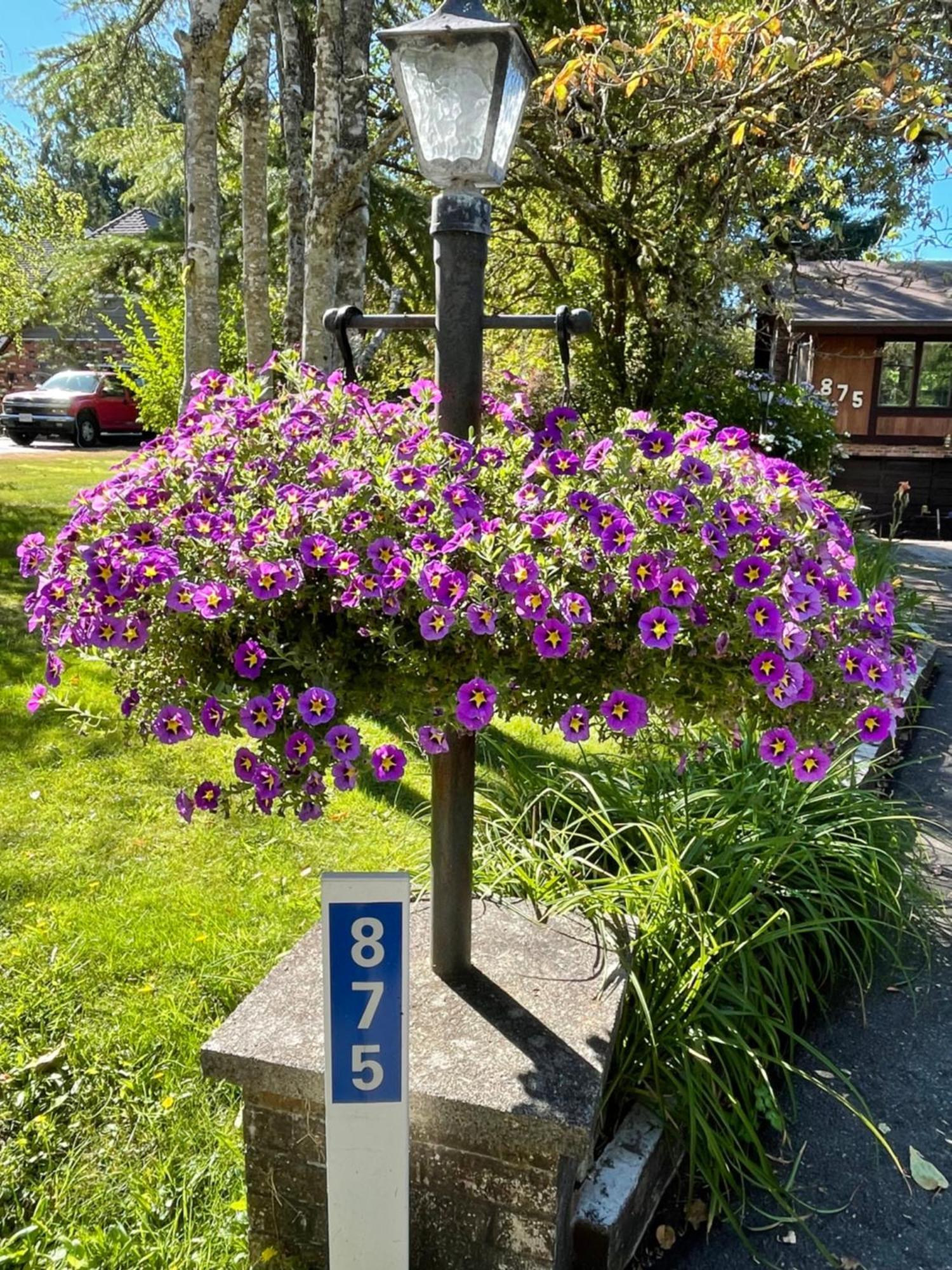 הוילה North Saanich Coles Bay Vacation Retreat מראה חיצוני תמונה