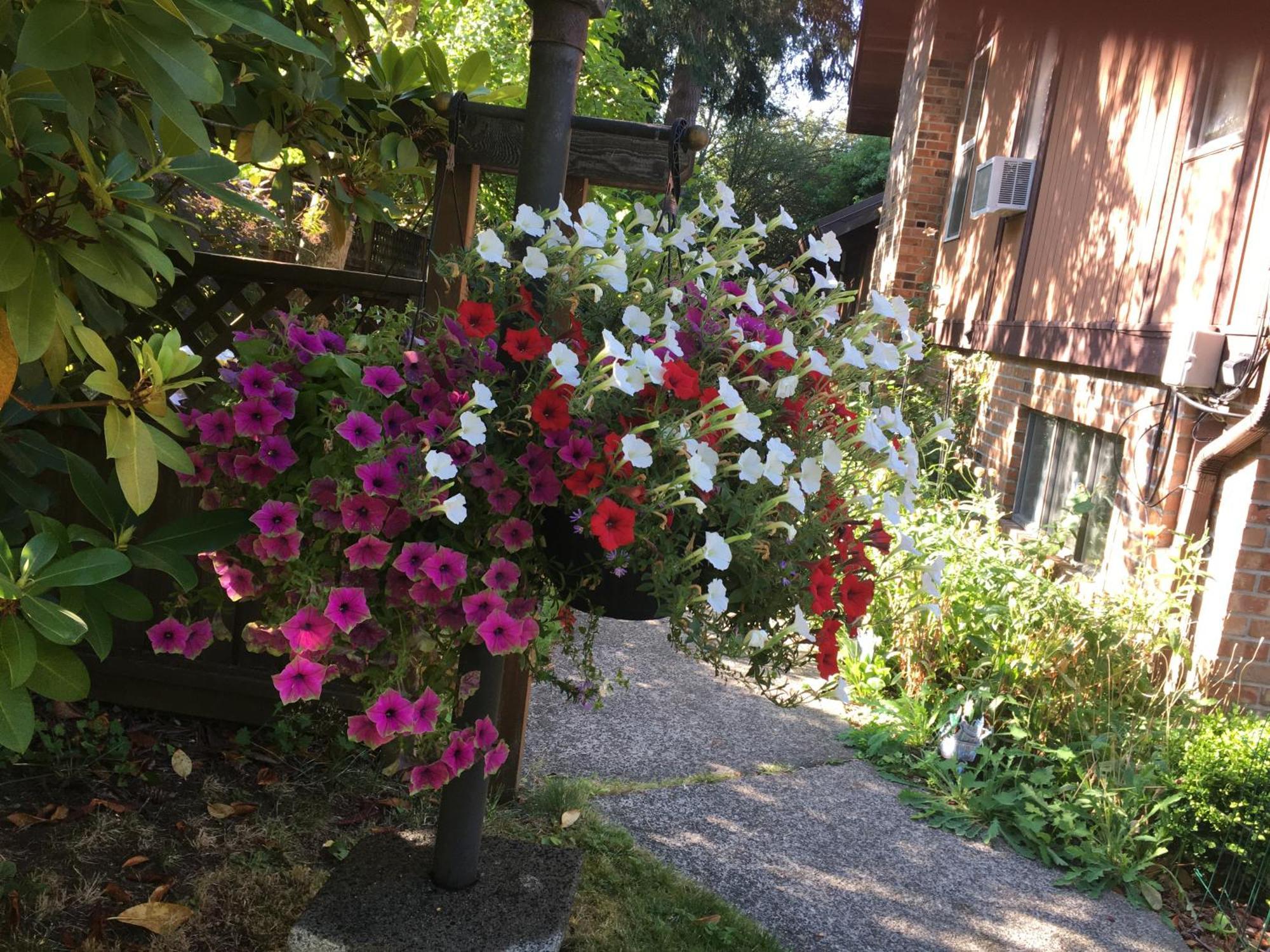 הוילה North Saanich Coles Bay Vacation Retreat מראה חיצוני תמונה