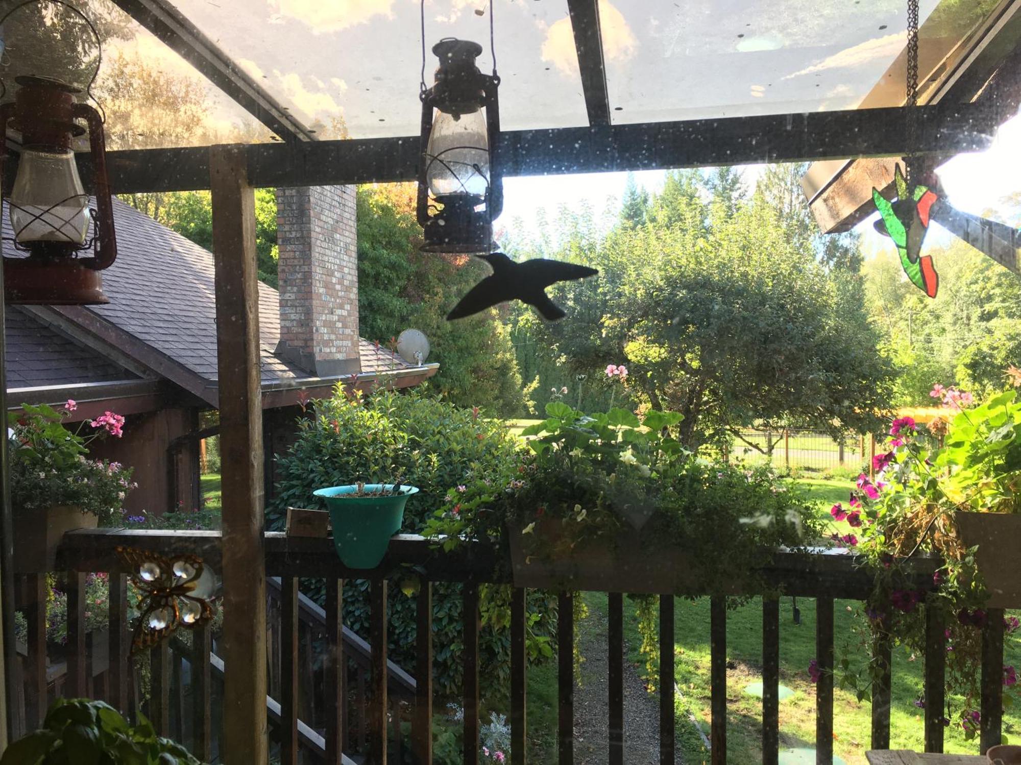 הוילה North Saanich Coles Bay Vacation Retreat מראה חיצוני תמונה
